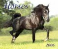 /album/horse/images-24-jpg2/